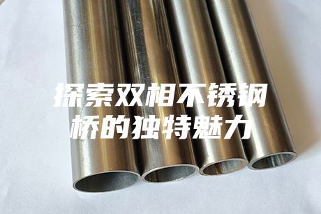 探索雙相不銹鋼橋的獨(dú)特魅力